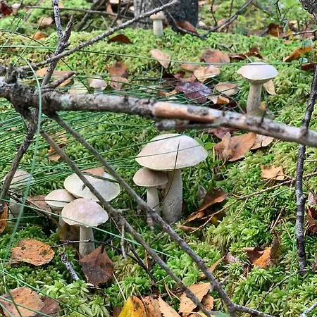 Swiety Spokoj Laka I Woda בית נופש *