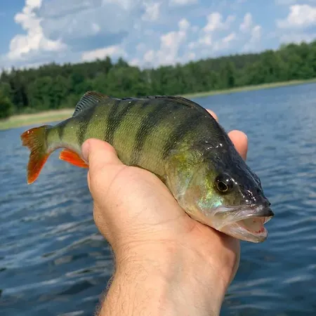 בית נופש Swiety Spokoj Laka I Woda