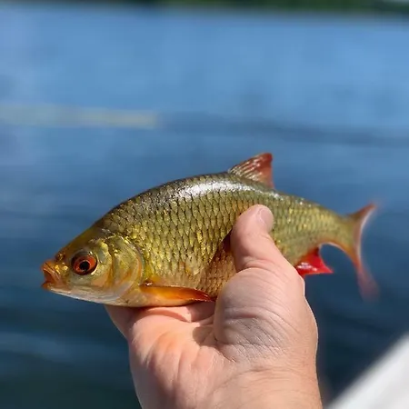 Swiety Spokoj Laka I Woda בית נופש