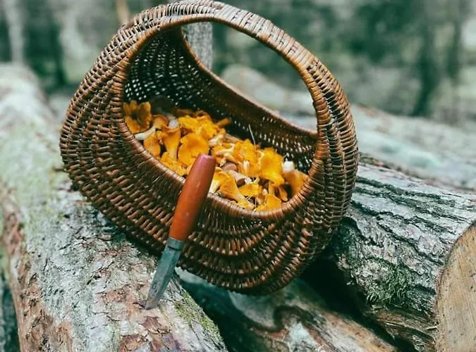 Dom wakacyjny święty Spokój łąka I Woda Pozezdrze