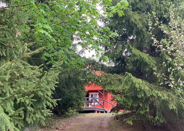 święty Spokój łąka I Woda * Pozezdrze