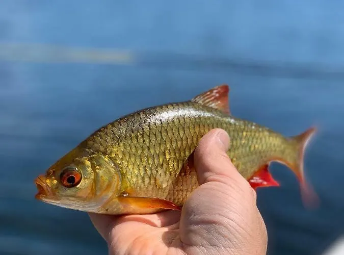 święty Spokój łąka I Woda Dom wakacyjny